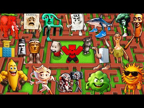 Видео: ВЫЖИВАНИЕ В ЛАБИРИНТЕ ПРОТИВ БРЕЙНРОТ МЕМОВ BRAINROT АНИМАЦИЯ В МАЙНКРАФТ