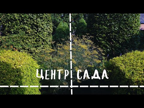 Видео: центр сада
