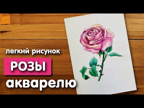 Видео: Нарисуйте розу акварельными красками | Рисунок просто и поэтапно для начинающих