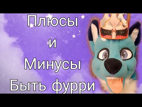 Видео: Плюсы и минусы быть фурри