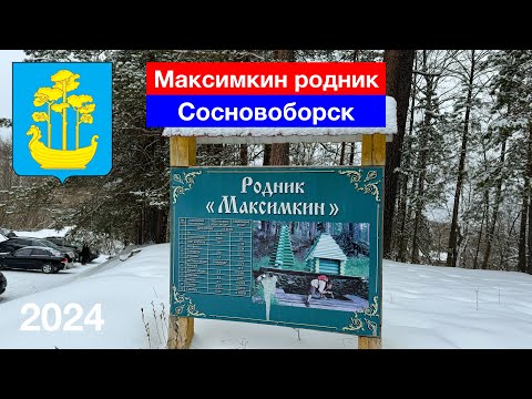 Видео: [4K] Максимкин родник, Сосновоборск, Пензенская область (3.01.2024)