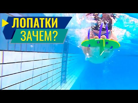 Видео: ЗАЧЕМ ПЛАВАТЬ В ЛОПАТКАХ?