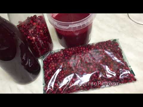 Видео: БРУСНИКА НА ЗИМУ