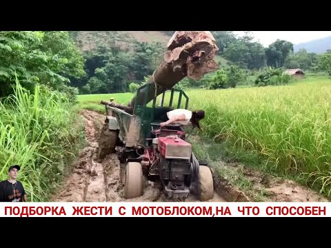 Видео: ПОДБОРКА ЖЕСТИ С МОТОБЛОКОМ НА ЧТО СПОСОБЕН!? / WHAT CAN A MINI TRACTOR, COMPILATION