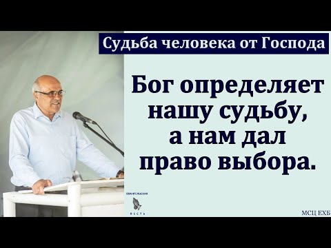 Видео: "Судьба человека от Господа". А. В. Гамм. МСЦ ЕХБ