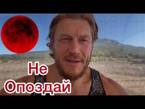 Видео: Кровавая луна 🌒.Не опаздай… 