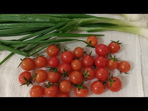 Видео: С утра пеку батоны 🥖. / Электромясорубка Oberhof Magnum R-12, моя новая помощница.