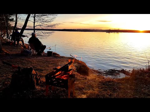 Видео: Открыли с Отцом Сезон 2022! Первый Лещ на Фидер. Рыбалка с Ночевкой на Чигиринком Водохранилище.