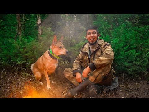 Видео: ЧТО С ПЕНЬКАМИ? ПОЧЕМУ ИЗ БЕРЁЗЫ? СТРОЮ КАРКАСНЫЙ ДОМ В ЛЕСУ. УЖИН НА КОСТРЕ.