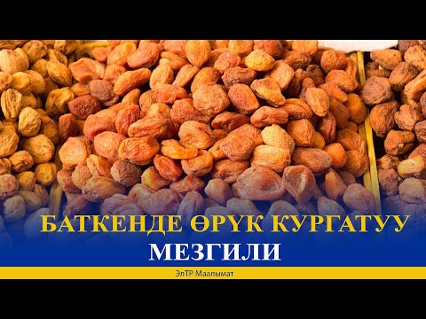 Видео: БАТКЕНДЕ ӨРҮК КУРГАТУУ МЕЗГИЛИ