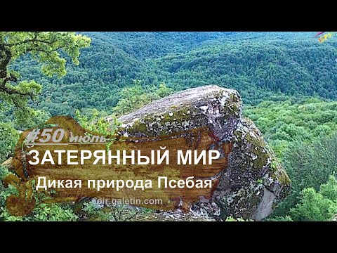 Видео: Затерянный мир. Дикая природа Псебая. Каменный лес. Искатели приключений