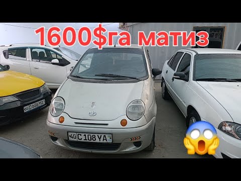 Видео: 9 ноября 2025 г.