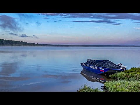 Видео: НОЧНАЯ РЫБАЛКА. МОНСТРЫ ЯУЗКОГО ВОДОХРАНИЛИЩА. РАЗДАЧА СУДАКА.