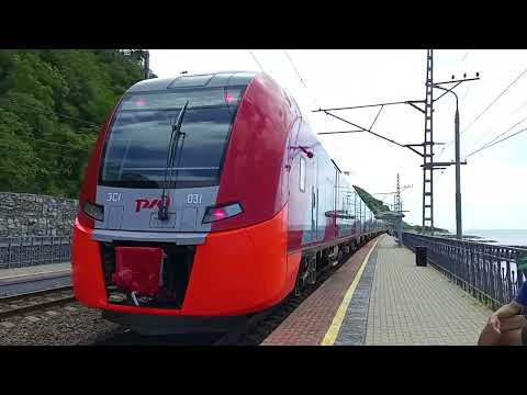 Видео: 2-й день в Туапсе🌊. Море и ласточки🚝. Одинокий дельфин🐬 в море.