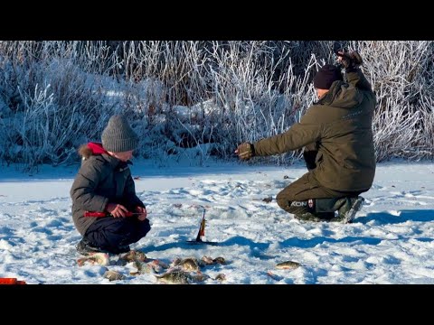 Видео: КОРЯГИ ПОЛНЫЕ РЫБЫ!!! РЕЧКА ПОЛНАЯ РЫБЫ! КЛЮЮТ ТОЛЬКО ОПУСТИ! О таком только мечтать!