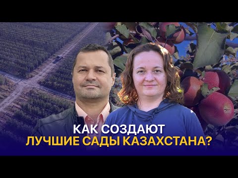 Видео: Сады будущего: как фермеры Алматы повышают качество и прибыльность?
