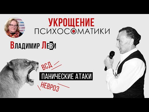 Видео: Вторая встреча с Владимиром Леви