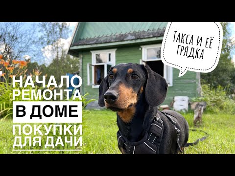 Видео: РЕМОНТ ЗАБРОШЕННОЙ ДАЧИ / ТАКСА КОПАЕТ ГРЯДКИ / ПОКУПКИ в ЛЕРУА МЕРЛЕН