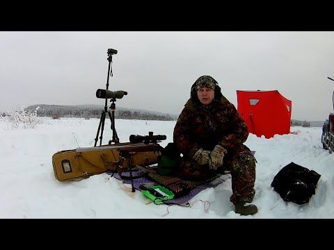 Видео: Sako Varmint 308 отстрел пуль Hornady A-Max