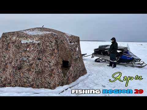 Видео: ▶️ЯГРЫ.КОСЫ.КОРЮШКА.#северодвинск #рыбалка #корюшка #фишингрегион29