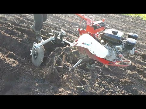 Видео: Посадка картофеля ДИСКОВЫМ ОКУЧНИКОМ. Дизельный мотоблок ФАВОРИТ.