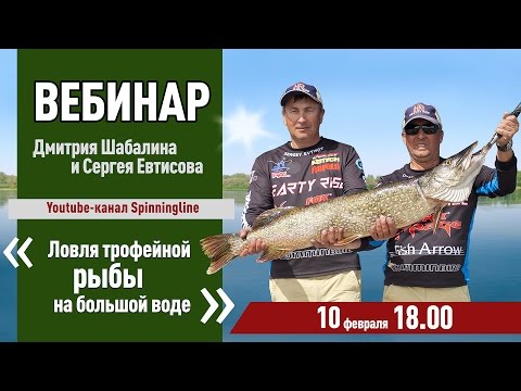 Видео: Вебинар Дмитрия Шабалина и Сергея Евтисова на тему "Ловля трофейной рыбы на большой воде"