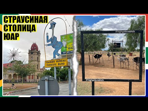 Видео: Oudtshoorn - страусиная столица ЮАР! / Дорожное путешествие по Южной Африке / ЮАР #5