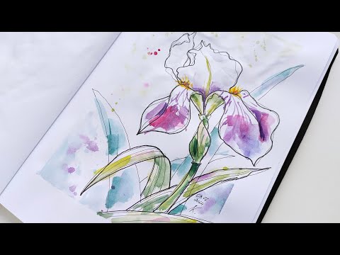 Видео: Ирис. Акварельный скетч. Цветы акварелью. Sketching for watercolor. Watercolor sketch.