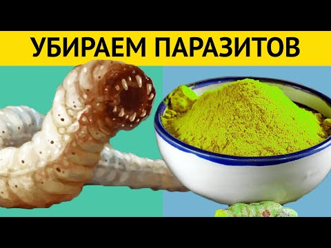 Видео: Моментальное выведение ГЛИСТОВ и других ПАРАЗИТОВ из организма