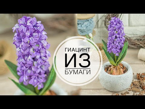Видео: Paper HYACINTH / ГИАЦИНТ из бумаги / DIY TSVORIC