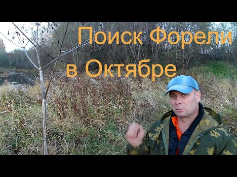 Видео: Форель в Октябре. в Ленинградской области.