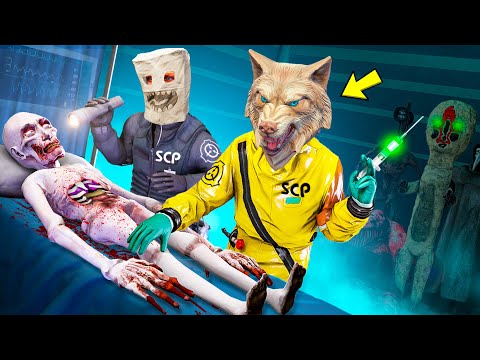 Видео: МЫ С ДРУГОМ СТАЛИ АГЕНТАМИ SCP ФОНДА НА 24 ЧАСА ! - ЧЕЛЛЕНДЖИ СЦП В ГТА 5 ОНЛАЙН