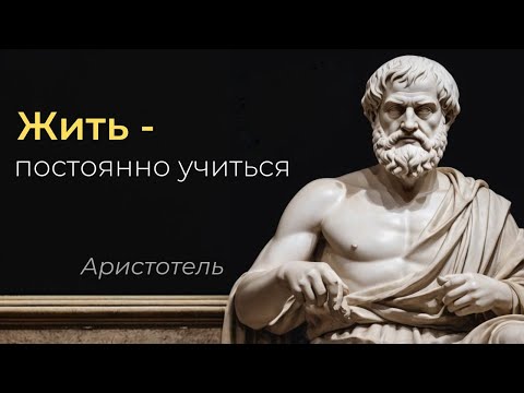 Видео: Жить – постоянно учиться: секрет саморазвития от Аристотеля