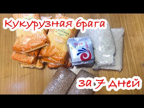 Видео: Кукурузная брага на кодзи за 7  дней