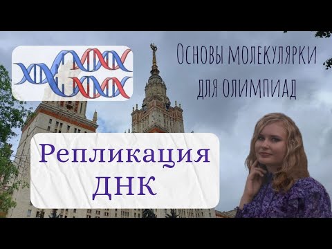 Видео: Молекулярная биология для олимпиад / Репликация ДНК: самое понятное объяснение репликативной вилки