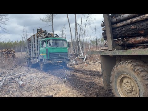 Видео: Вытаскиваем МАЗ 6х6.Пригнал КАМАЗ 4310! Старый конь борозды не портит