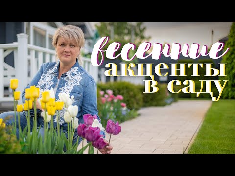 Видео: Яркий сад весной! Как разместить луковичные в цветниках