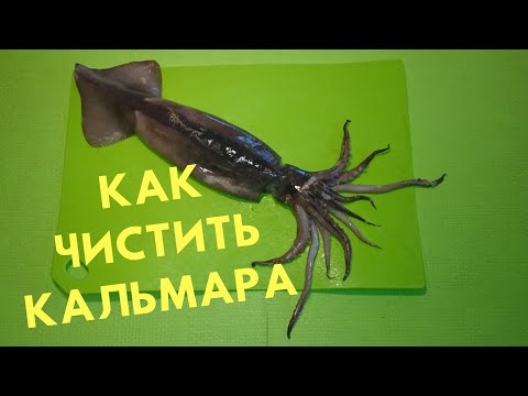 Видео: ЧИСТИТЬ КАЛЬМАРА ТОЛЬКО ТАК без термообработки/how to clean squid