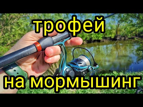 Видео: КЛЮНУЛ ТРОФЕЙ НА МОРМЫШИНГ !!! РАЗЛОВИЛ Dayo Nano Atarashii !!! МОРМЫШИНГ ДАРИТ ЭМОЦИИ !!!