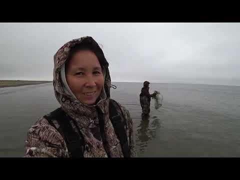 Видео: Пробуем кидать уловистую снасть.  Нарвали пакет крупной рябины.