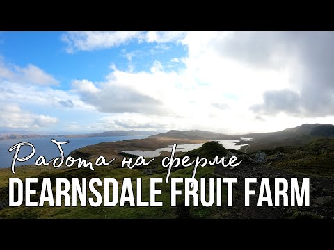 Видео: Работа в Англии на ферме Dearnsdale Fruit Farm. Какие условия? Почему перевёлся?