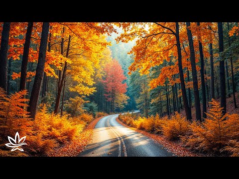 Видео: Спокойные осенние мелодии 🍂 Музыка для исцеления, расслабления и успокоения сердца