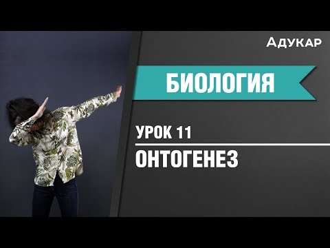 Видео: Онтогенез| Биология ЦТ, ЕГЭ