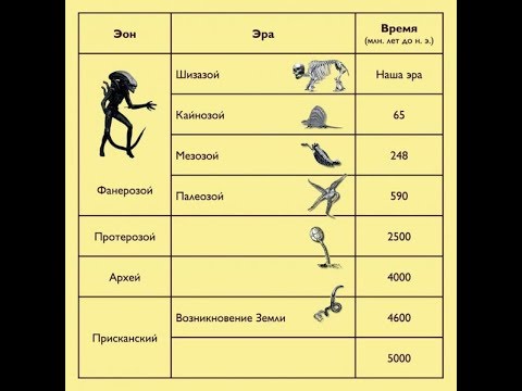 Видео: ДимаКок -- Шизазой/Наша Эра (1983-1988)