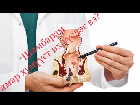 Видео: шамбарам буюу цагаан мах эргэдэг хүмүүсийн мэдвэл зохих зүйлс