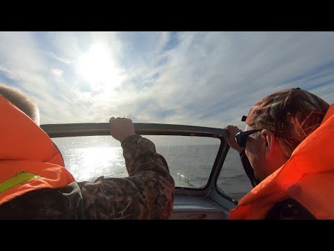 Видео: Рыбалка на Белом Море! Морская рыбалка. Ловля камбалы.