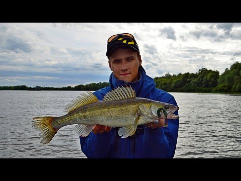 Видео: АЗАРТНАЯ Ловля СУДАКА! СЕКРЕТЫ и Советы по Рыбалке! / Судак