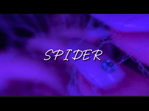 Видео: АСМР/ASMR🕸Самая расслабляющая паутинка/ SPIDER MACRO WEB