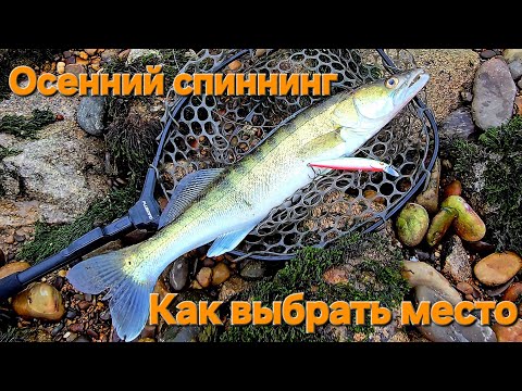 Видео: Рыбалка на реке Райн-как проходит, что ловится, снасти и приманки! #рыбалка #спиннинг #судак