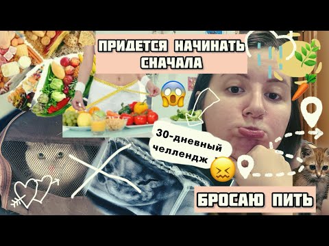 Видео: ВЛОГ НЕ ОЧЕНЬ ХУДЕЮЩЕГО ЧЕЛОВЕКА - СТАРТУЕМ!